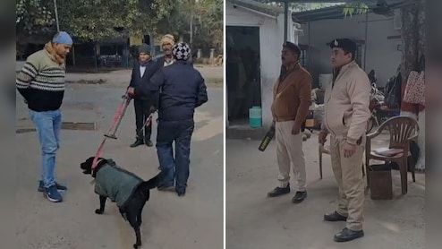 बिहार में कई कोर्ट को बम से उड़ाने की धमकी, अफरा-तफरी के बीच चप्पे-चप्पे की जांच, निकली ये कहानी