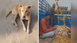 अजमेर: गांव के हर अंतिम संस्कार में शामिल होता था कुत्ता, मौत पर लोगों ने DJ और गाजे-बाजे से की अंतिम विदाई