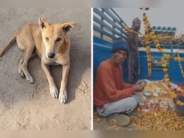 अजमेर: गांव के हर अंतिम संस्कार में शामिल होता था कुत्ता, मौत पर लोगों ने DJ और गाजे-बाजे से की अंतिम विदाई