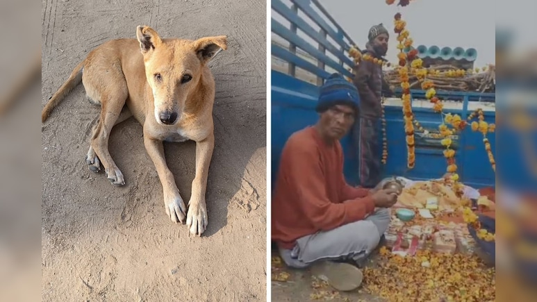 अजमेर: गांव के हर अंतिम संस्कार में शामिल होता था कुत्ता, मौत पर लोगों ने DJ और गाजे-बाजे से की अंतिम विदाई
