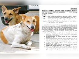 'अब कुत्ते भगाएंगे मास्टर जी!' राजस्थान शिक्षा विभाग का नया फरमान सुनकर चकराया शिक्षकों का सिर