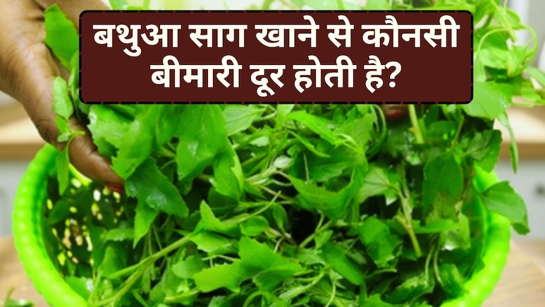 बथुआ साग खाने के हैं 8 जबरदस्त फायदे, जानने के बाद कर लेंगे Diet में शामिल