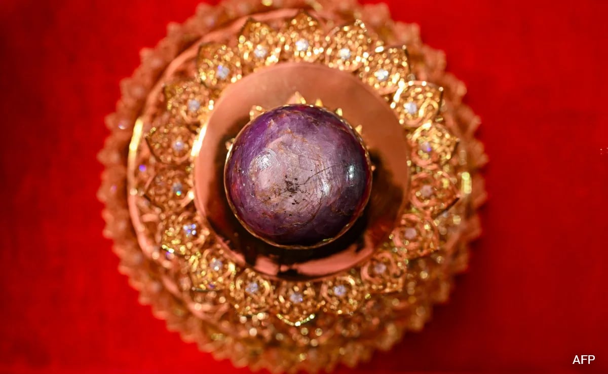 Largest Purple Star Sapphire Worth Rs 2,700 Crore Unveiled In Sri Lanka