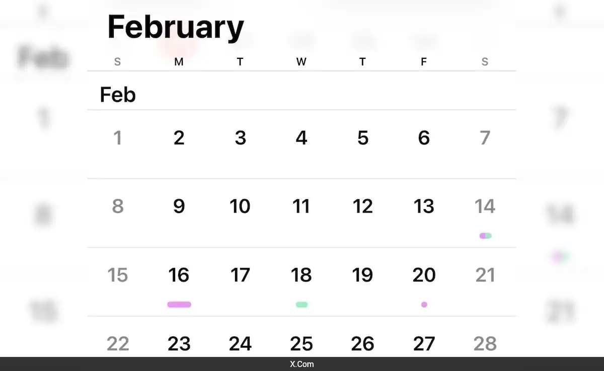 February 2026 Not A Rare 'MiracleIn'