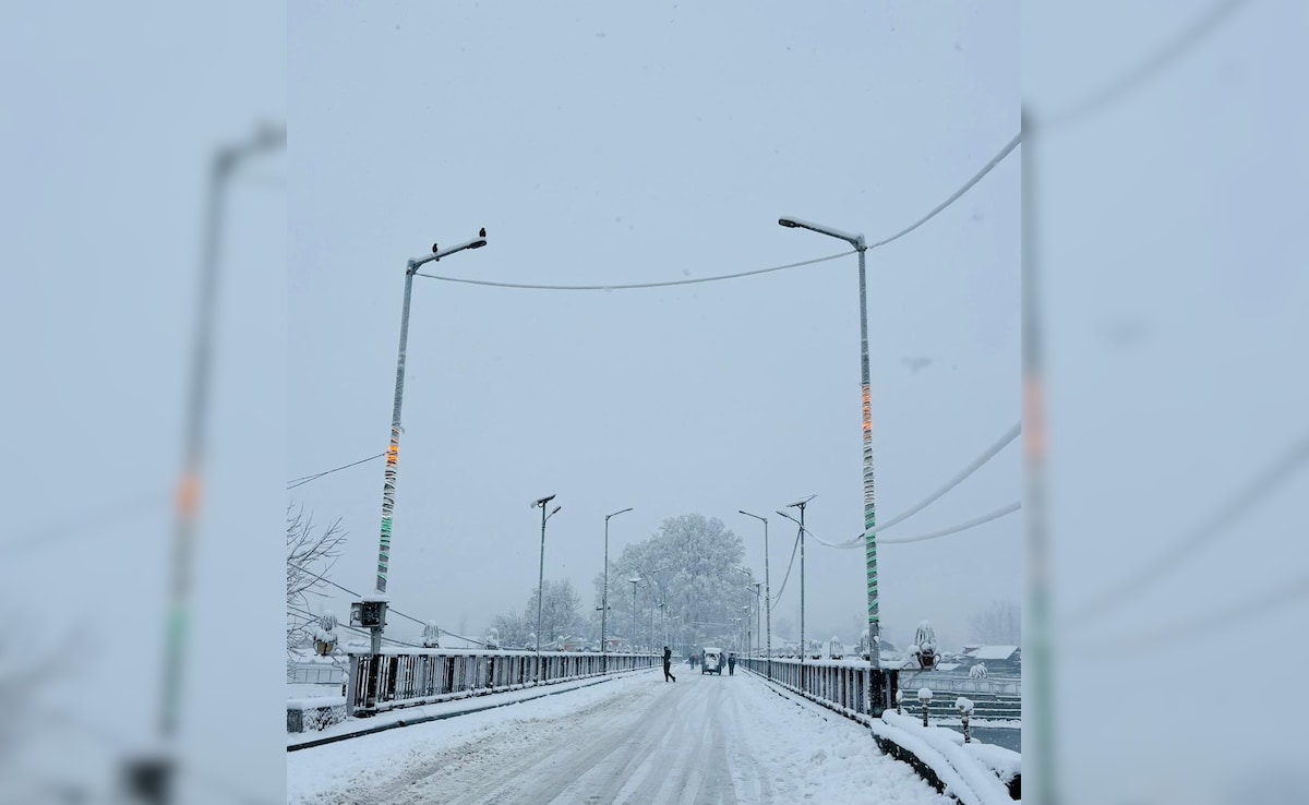 In Pics: Kashmir Wakes Up To Season's First Snowfall, Flights, Highway Shut