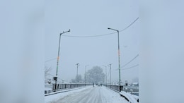 In Pics: Kashmir Wakes Up To Season's First Snowfall, Flights, Highway Shut