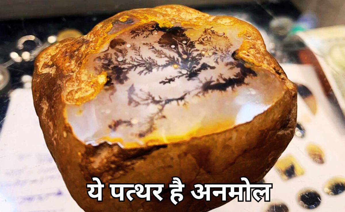 बहुमूल्य &lsquo;शजर पत्थर&rsquo; उगलती है एमपी की यह नदी, दुनिया की इकलौती नदी जहां मिलता है ये बेशकीमती रत्न