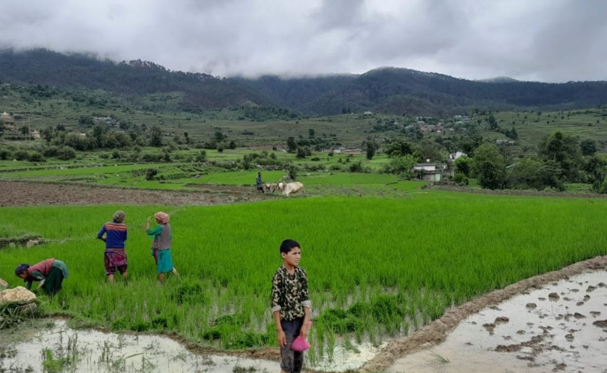 Latest and Breaking News on NDTV