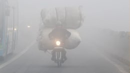 MP Weather: सर्दी से जकड़ा मध्य प्रदेश, पारा 2.5 डिग्री पर पहुंचा, इन जिलों में&nbsp;शीतलहर का अलर्ट; यहां जानिए अपने जिले का हाल