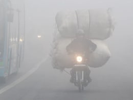 MP Weather: सर्दी से जकड़ा मध्य प्रदेश, पारा 2.5 डिग्री पर पहुंचा, इन जिलों में&nbsp;शीतलहर का अलर्ट; यहां जानिए अपने जिले का हाल