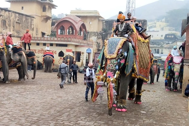 शाही अंदाज में हाथियों को गया है सजाया