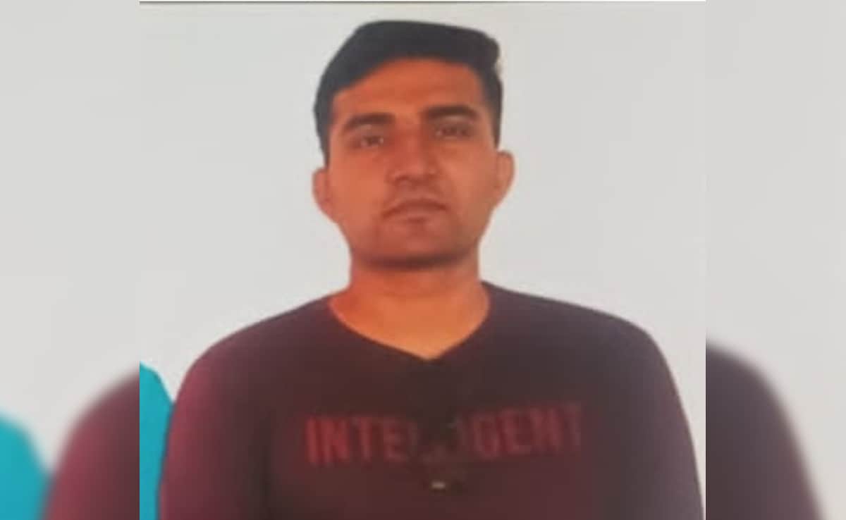 The Art of Baking: From Classic Bread to Artisan Pastries