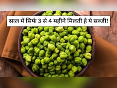 साल में सिर्फ 3 से 4 महीने मिलती है ये सब्जी, कई बीमारियों का है काल, जानें इसके फायदे और नुकसान