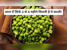 साल में सिर्फ 3 से 4 महीने मिलती है ये सब्जी, कई बीमारियों का है काल, जानें इसके फायदे और नुकसान