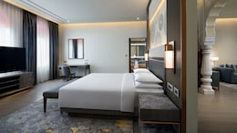 After Leela Palace Udaipur, Staff Intrusion At Hyatt Regency Jaipur Ignites Debate