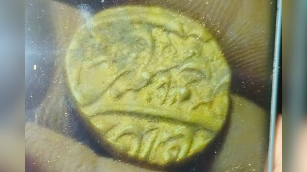 Golden Glimmer In Bundelkhand: Locals Find 'Ancient' Coins In Madhya Pradesh