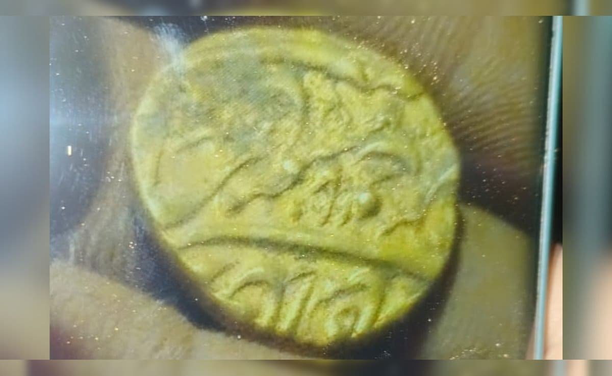Golden Glimmer In Bundelkhand: Locals Find 'Ancient' Coins In Madhya Pradesh