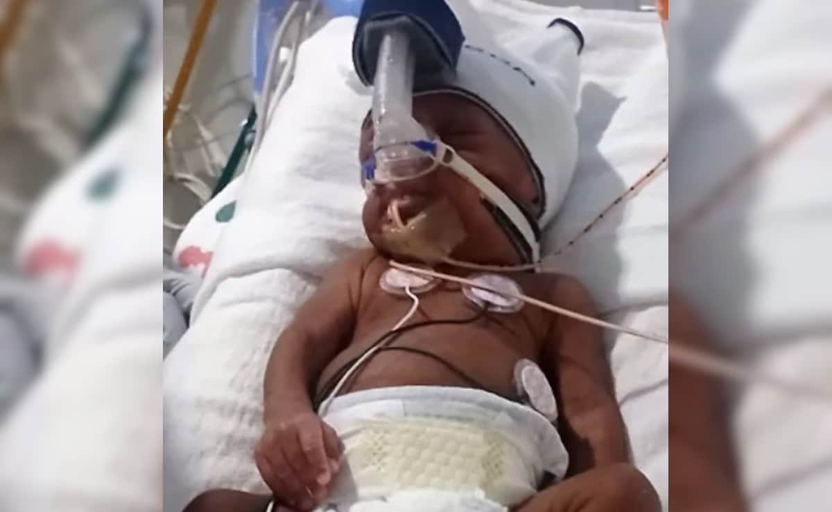 Latest and Breaking News on NDTV