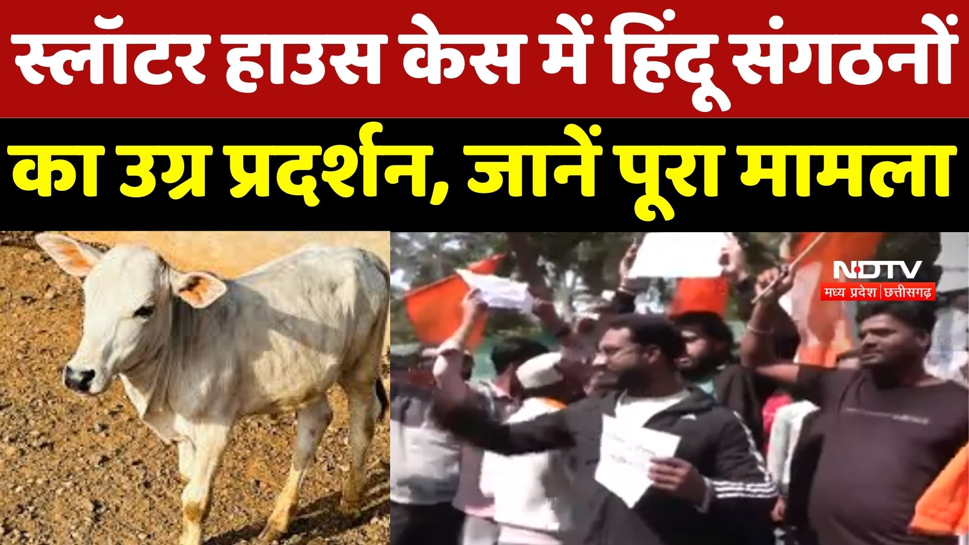 Bhopal Beef Scandal : कौन है Mastermind? भोपाल स्लॉटर हाउस विवाद में SIT करेगी अब बड़े खुलासे