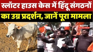 Bhopal Beef Scandal : कौन है Mastermind? भोपाल स्लॉटर हाउस विवाद में SIT करेगी अब बड़े खुलासे