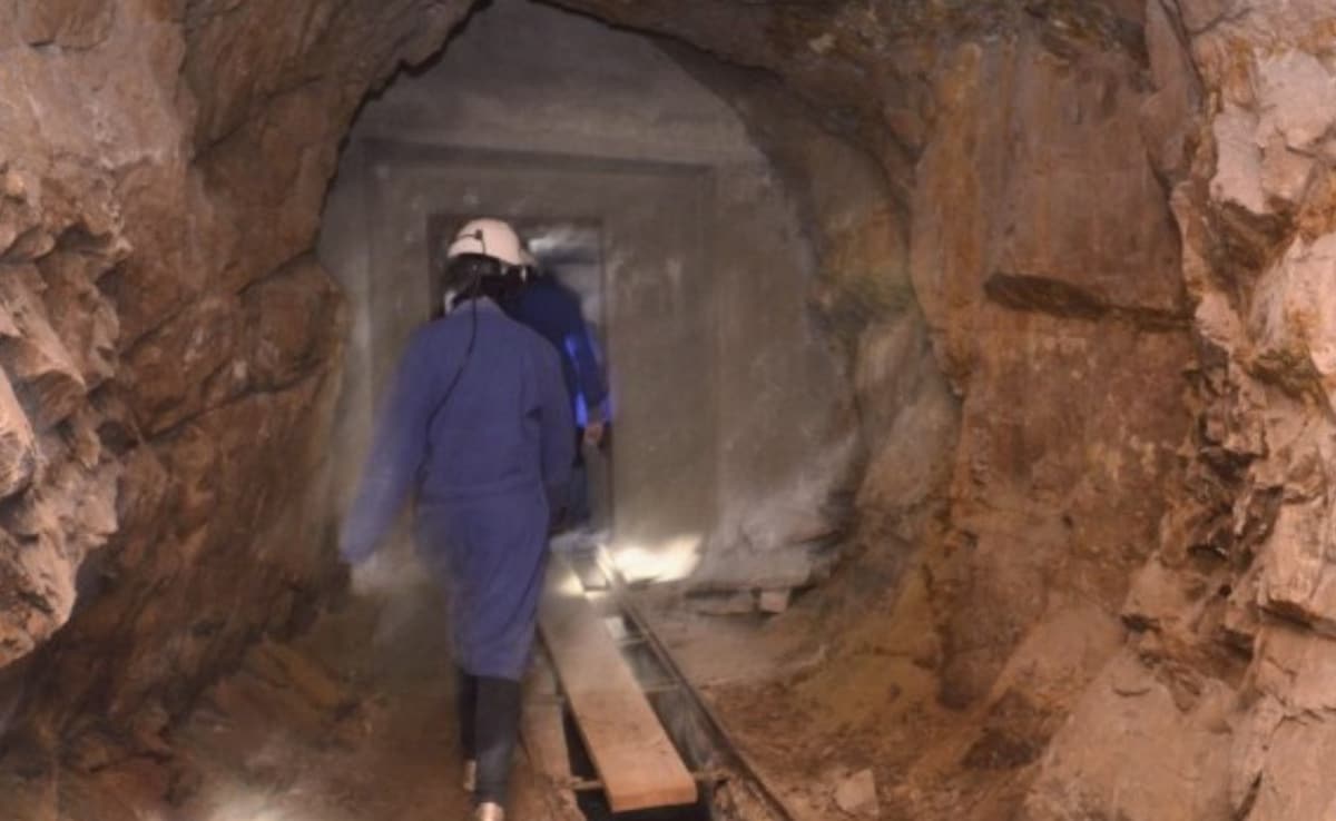 Latest and Breaking News on NDTV Latest and Breaking News on NDTV