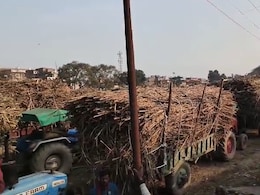 Bihar News: रीगा चीनी मिल खुलते ही उमड़ा किसानों का सैलाब, 5 KM लंबी लाइनें, दो-दो दिन से गन्ना तौल का इंतजार