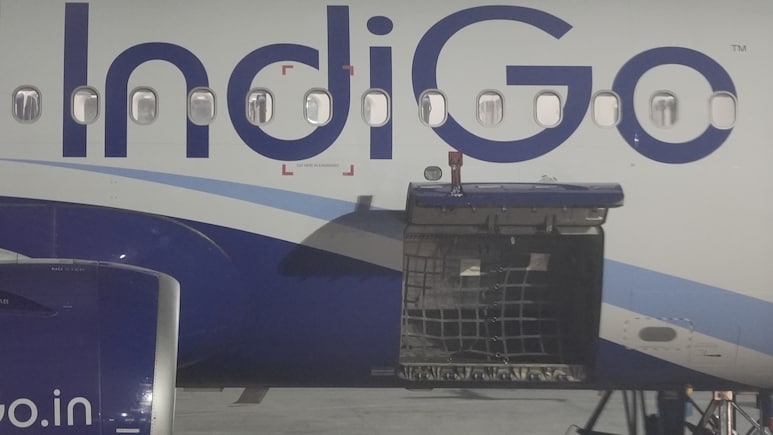 IndiGo Q3 Results: Date, Earnings Call Details, Share Price History And More