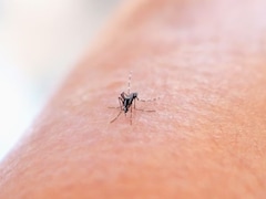 Chikungunya Cases In Tamil Nadu: Symptoms, Cause And Prevention Of The Viral Disease