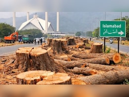 ये सेहत के लिए ठीक नहीं... इस्लामाबाद में 29 हजार पेड़ काटने पर बवाल के बीच सरकार की अजब दलील