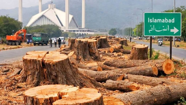 ये सेहत के लिए ठीक नहीं... इस्लामाबाद में 29 हजार पेड़ काटने पर बवाल के बीच सरकार की अजब दलील
