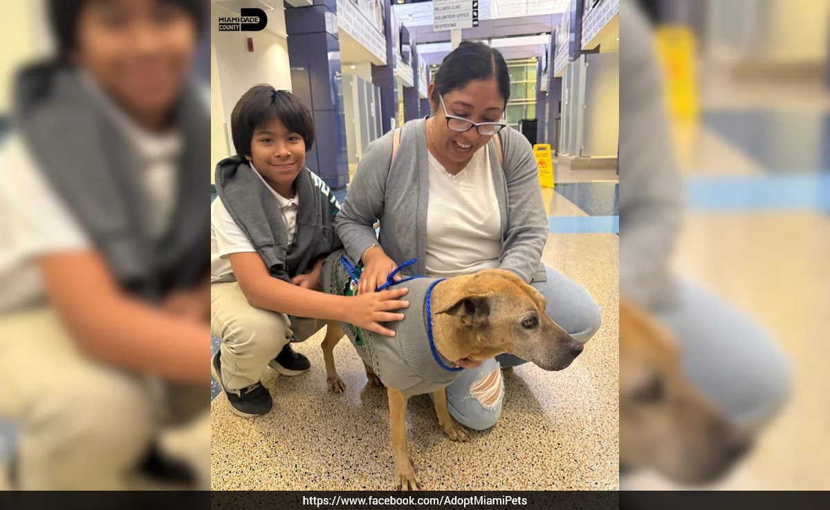 Microchip Reunites 15-Year-Old Dog With Owners In The US After 10 Years