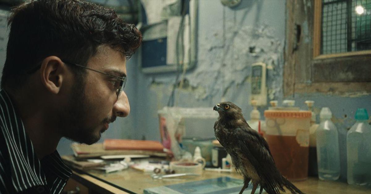 The Story Of Saving Kites From Kites That Got India An Oscar Nomination