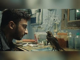 The Story Of Saving Kites From Kites That Got India An Oscar Nomination