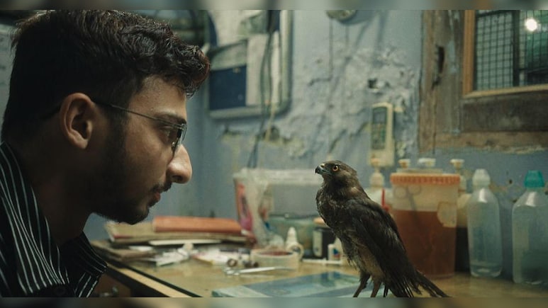 The Story Of Saving Kites From Kites That Got India An Oscar Nomination