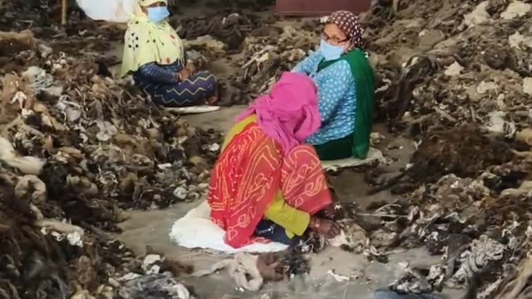 बीकानेर में 2 हजार करोड़ रुपए की ऊन मंडी पर संकट, ईरान में अस्थिरता के चलते 4 महीने से व्यापार ठप