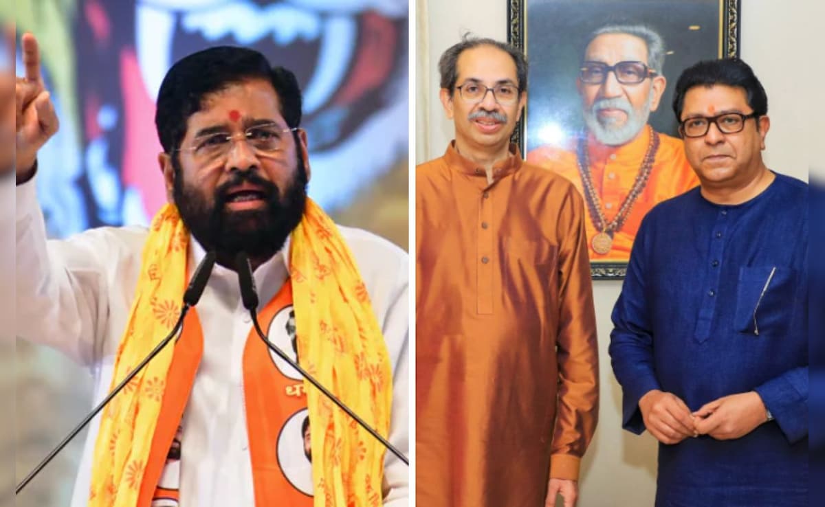 Eknath Shinde Calls Thackeray Cousins' Love For Marathi People "Fake"