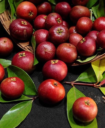 Amazing Health Benefits Of Kokum