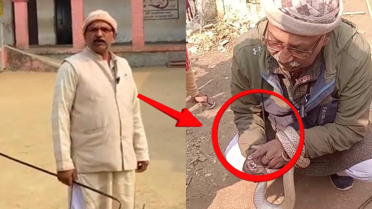 खेत में सांप पकड़ने गए थे मास्टरजी, हाथ में लेकर बनवाने लगे रील, मौत से पहले का VIDEO