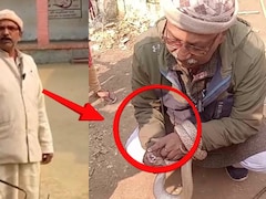 खेत में सांप पकड़ने गए थे मास्टरजी, हाथ में लेकर बनवाने लगे रील, मौत से पहले का VIDEO