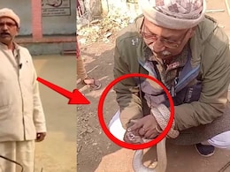 खेत में सांप पकड़ने गए थे मास्टरजी, हाथ में लेकर बनवाने लगे रील, मौत से पहले का VIDEO