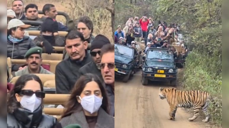 परिवार के साथ&nbsp;रणथंभौर में प्रियंका गांधी ने देखी बाघों की&nbsp;अठखेलियां, मीडिया के कैमरों बचतीं नज़र आईं