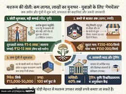 मशरूम की खेती से भी हो सकती है लाखों की कमाई, महज इतने रुपये में शुरू कर सकते हैं काम