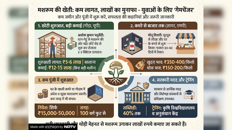 मशरूम की खेती से भी हो सकती है लाखों की कमाई, महज इतने रुपये में शुरू कर सकते हैं काम