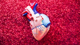 Fast Breathing, Poor Feeding, Blue Lips: Early Congenital Heart Defect Signs Indian Parents Miss