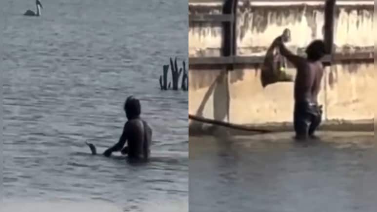 आनासागर झील बनी प्रवासी पक्षियों की तस्करी का अड्डा! लेक में उतरा शख्स और खुलेआम किया शिकार; वीडियो वायरल