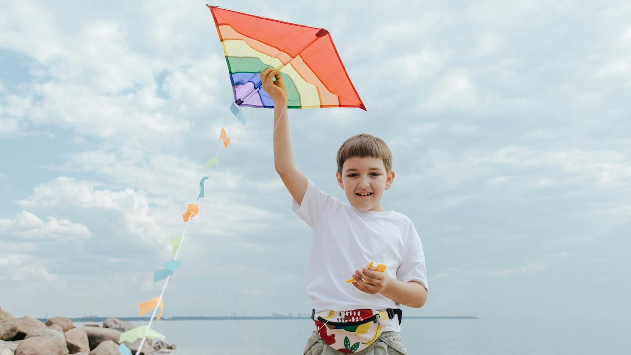 Kites are a traditional symbol of Sankranti.