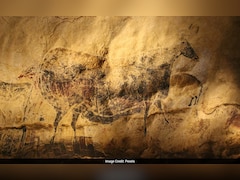 क्या गुफाओं में रहते थे 'एलियंस'? 67 हजार साल पुराना हाथ, जिसने बदल दी कला की दुनिया