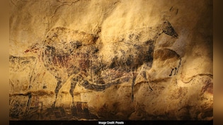 क्या गुफाओं में रहते थे 'एलियंस'? 67 हजार साल पुराना हाथ, जिसने बदल दी कला की दुनिया