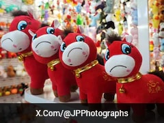 'Crying Horse': How A Sewing Error Created China's Most Relatable Viral Mascot