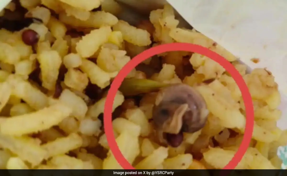 "Attempt To Defame": Temple After Couple Claims They Found Snail In Prasad